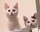 Benutzeravatar