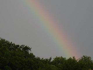 Regenbogen.jpg