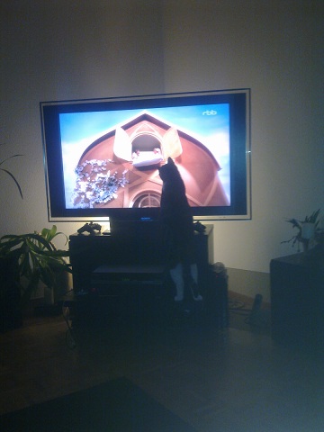Lieblingbeschäftigung fernsehen