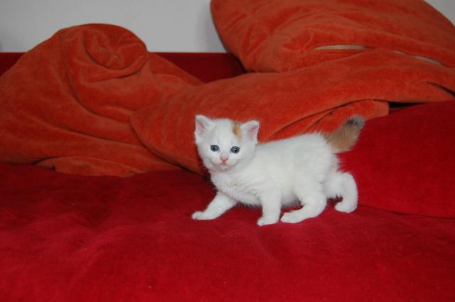 image0001jr3.jpg