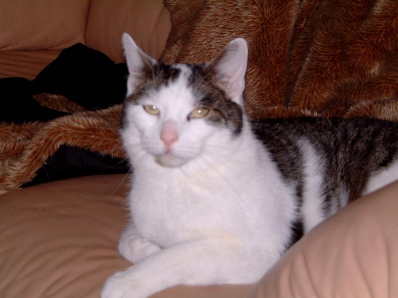 DSCF0114.JPG